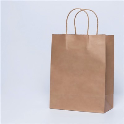 ถุงกระดาษ Takeaway สีน้ำตาล